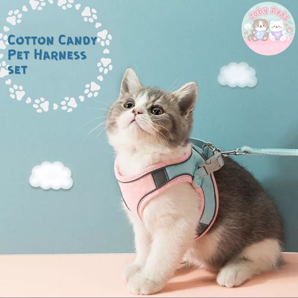 🎯 SALE🎯Cotton Candy Pet Harness and Leash Set - Picture 3 of 7
